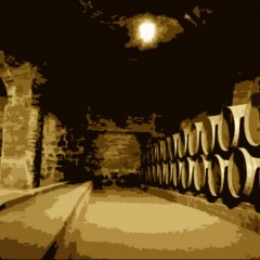 A Wine Cellar