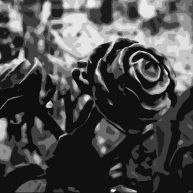 A stone Rose