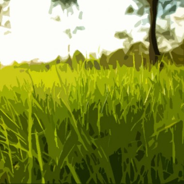 Lush Grass